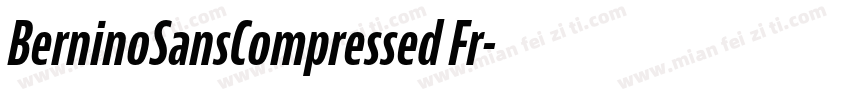 BerninoSansCompressed Fr字体转换